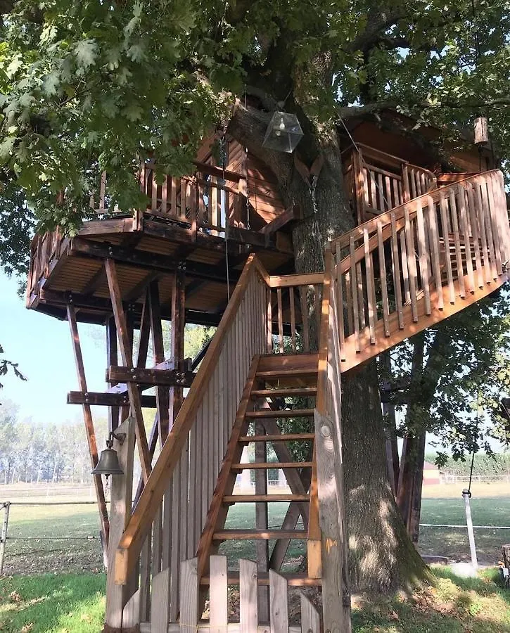 Agriturismo Tenuta 